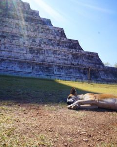 Chichen Itza Tour